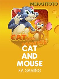 Cat And Mouse