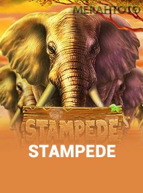 Stampede